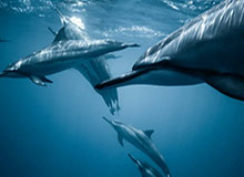 华体会hth在哪里注册？官方入口全解与注册指南